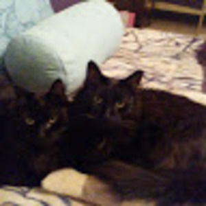 Meet your Posher, Judi